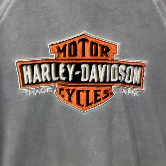 Harley-Davidson Motorcycles Mens Hoodie Size Medium - Picture 2 of 9